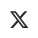 X Social Icon